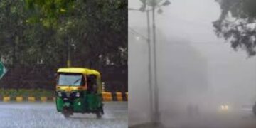 BeFunky collage (36)