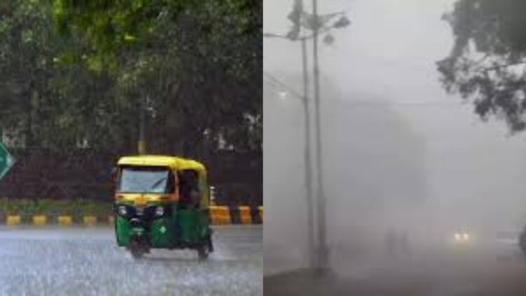 BeFunky collage (36)