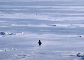 BeFunky collage (57)