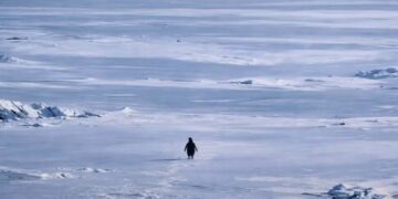 BeFunky collage (57)