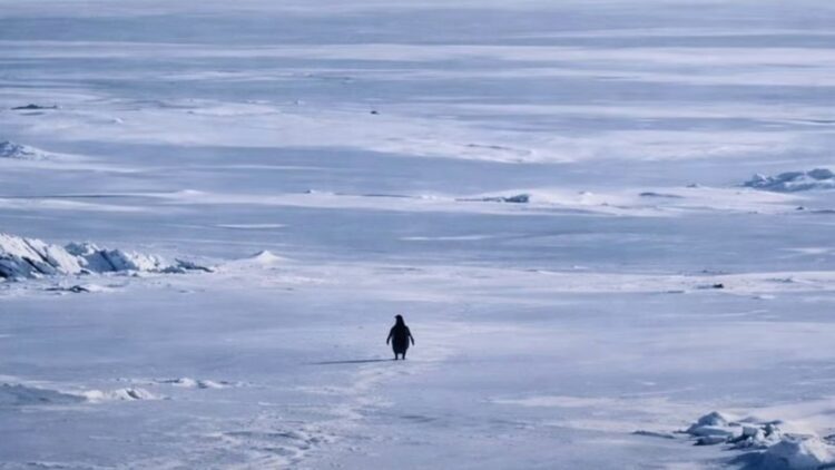 BeFunky collage (57)