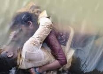 BeFunky collage (85)