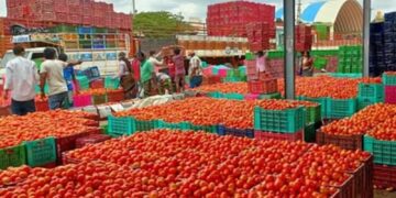 BeFunky collage (95)