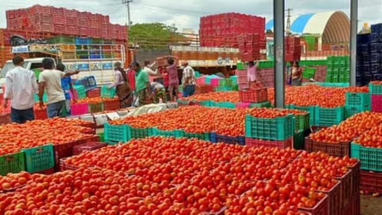 BeFunky collage (95)