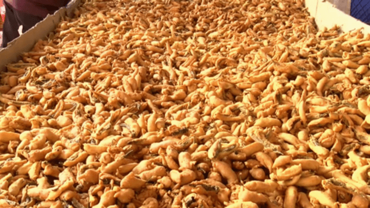 Untitled design 2026 01 06T192208.753