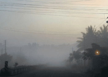 Untitled design 2026 01 10T081332.674