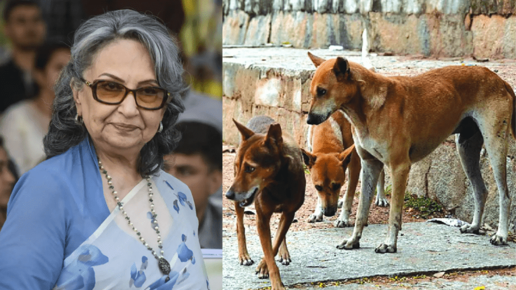 Untitled design 2026 01 10T084346.278