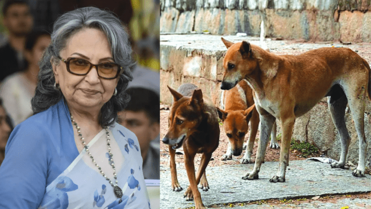 Untitled design 2026 01 10T084346.278