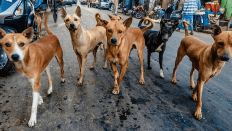 Untitled design 2026 01 13T144140.382