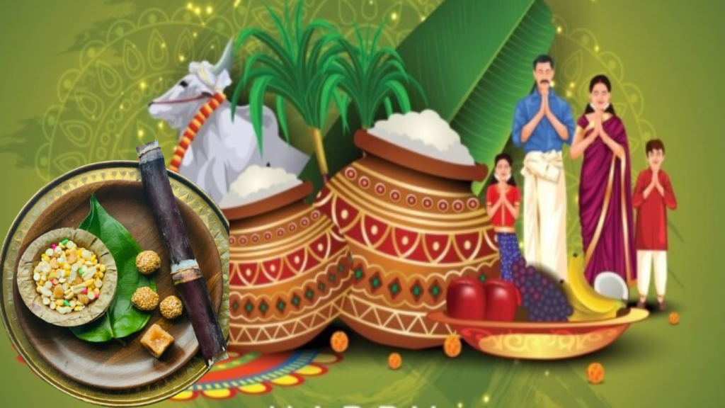 Untitled design 2026 01 15T090939.656