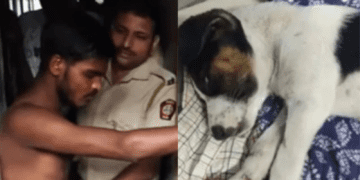 Untitled design 2026 01 21T130434.464