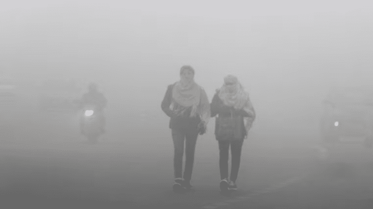 Untitled design 2026 01 24T082043.226