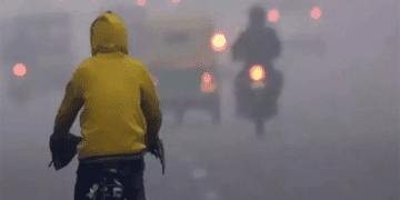 Untitled design 2026 01 27T080941.085