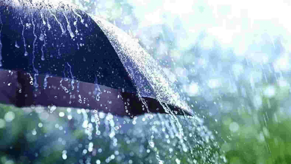 Untitled design 2026 01 28T075206.131