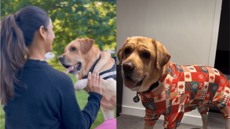 Untitled design 2026 01 29T181840.708