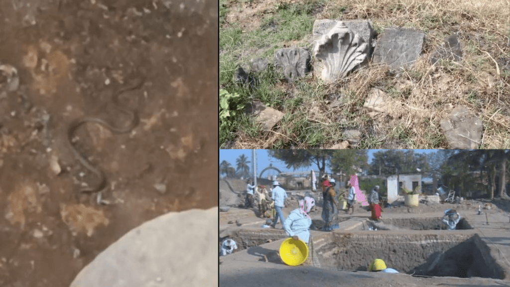 Untitled design 2026 01 30T140054.621