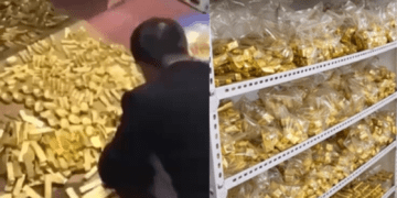 Untitled design 2026 01 30T153908.149