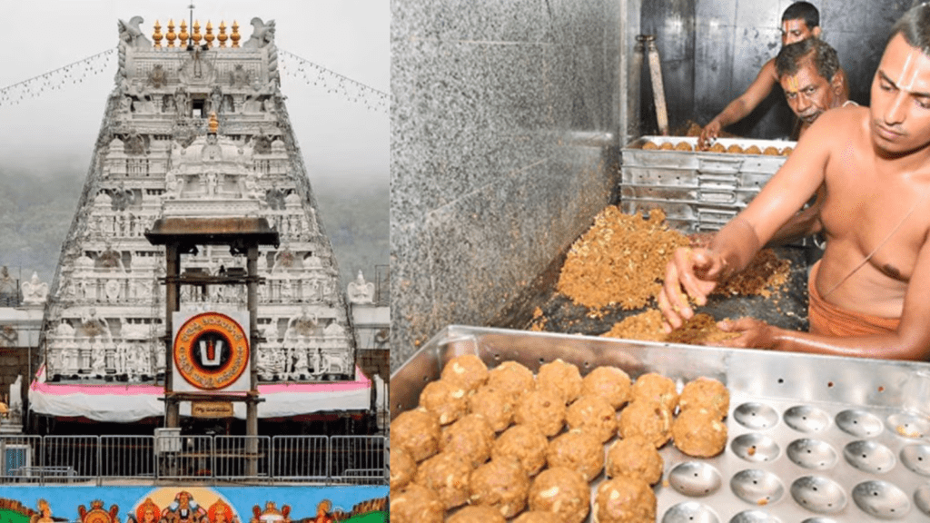 Untitled design 2026 01 31T080439.477