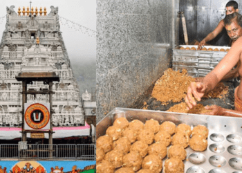 Untitled design 2026 01 31T080439.477