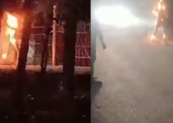 BeFunky collage 2026 02 02T174018.682