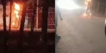 BeFunky collage 2026 02 02T174018.682