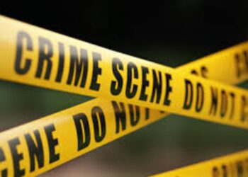 BeFunky collage 2026 02 02T183139.113