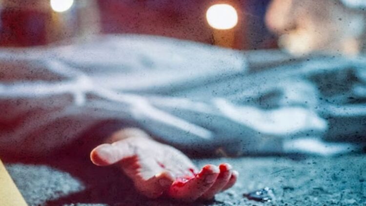 BeFunky collage 2026 02 03T113524.694