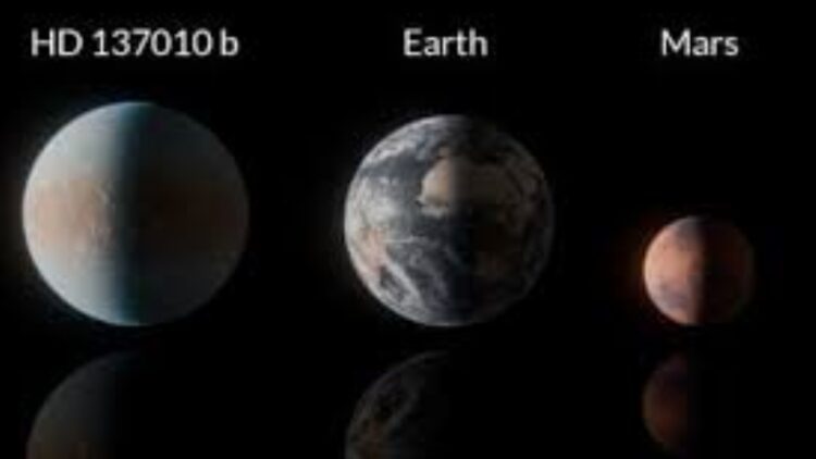 BeFunky collage 2026 02 04T140403.092