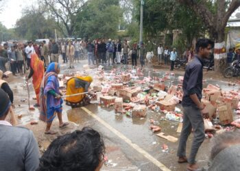 BeFunky collage 2026 02 05T161316.283