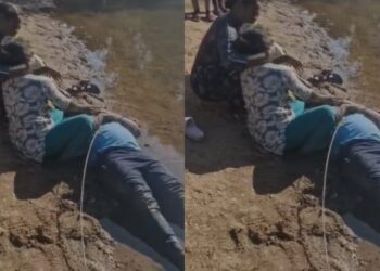 BeFunky collage 2026 02 06T184514.905