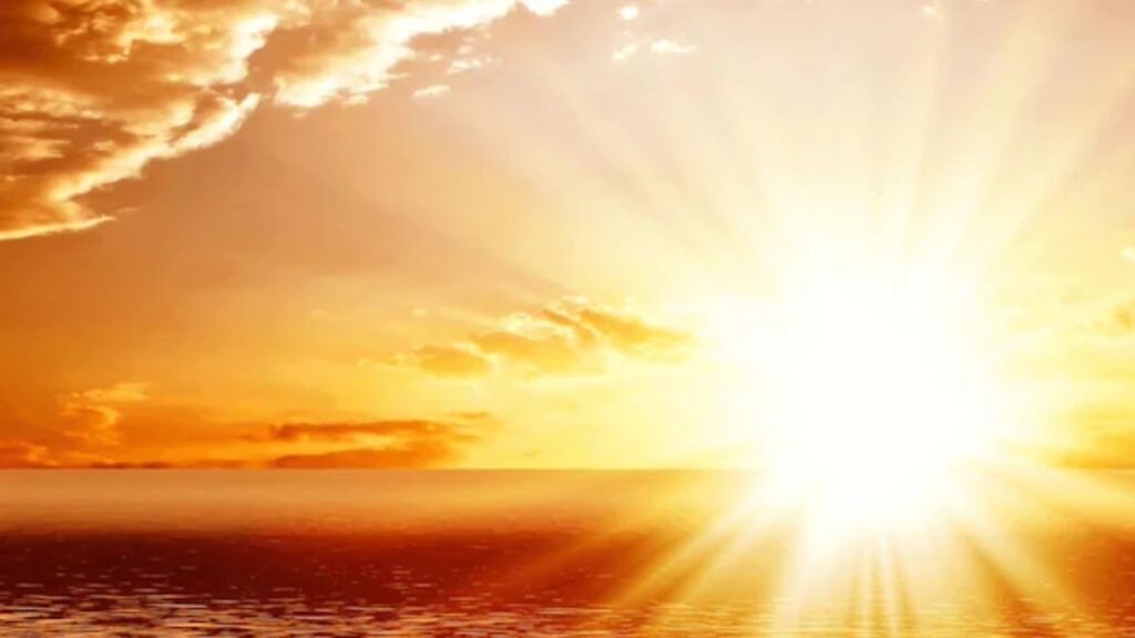 BeFunky collage 2026 02 07T075215.592