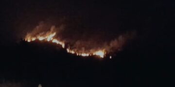 BeFunky collage 2026 02 07T091255.214