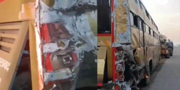 BeFunky collage 2026 02 07T105653.212