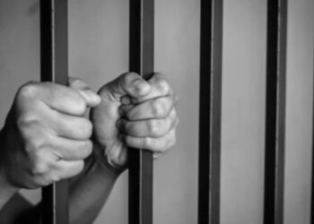 BeFunky collage 2026 02 07T122322.258