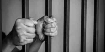 BeFunky collage 2026 02 07T122322.258