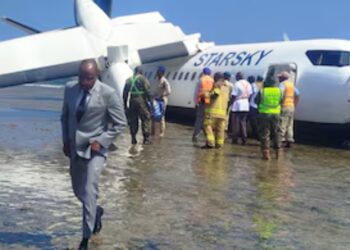 BeFunky collage 2026 02 11T131954.451