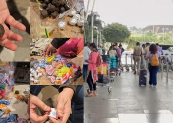 BeFunky collage 2026 02 12T111352.045