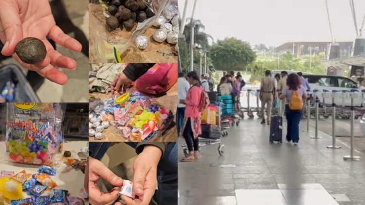 BeFunky collage 2026 02 12T111352.045