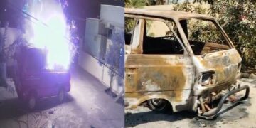 BeFunky collage 2026 02 12T143043.531