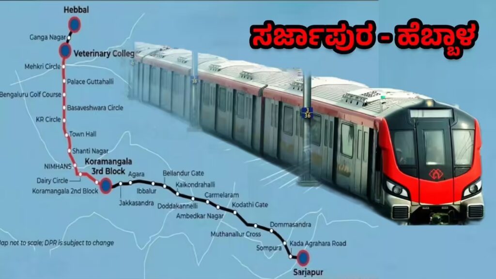 BeFunky collage 2026 02 12T182930.953