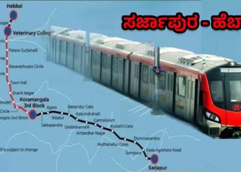 BeFunky collage 2026 02 12T182930.953