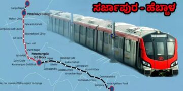 BeFunky collage 2026 02 12T182930.953