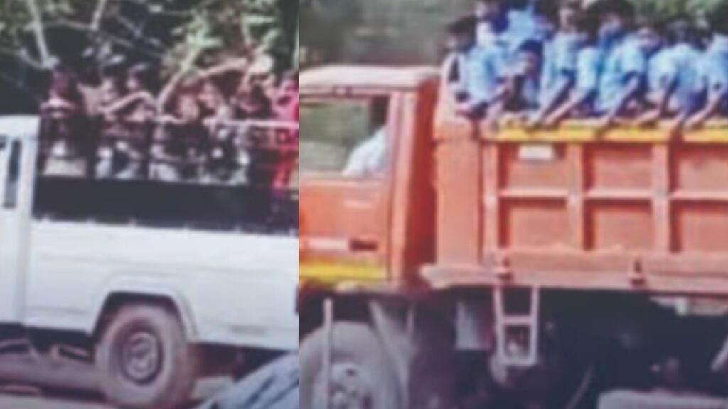 BeFunky collage 2026 02 13T135824.424