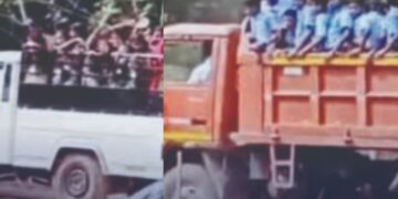 BeFunky collage 2026 02 13T135824.424