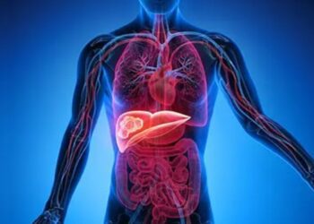 BeFunky collage 2026 02 13T154527.333