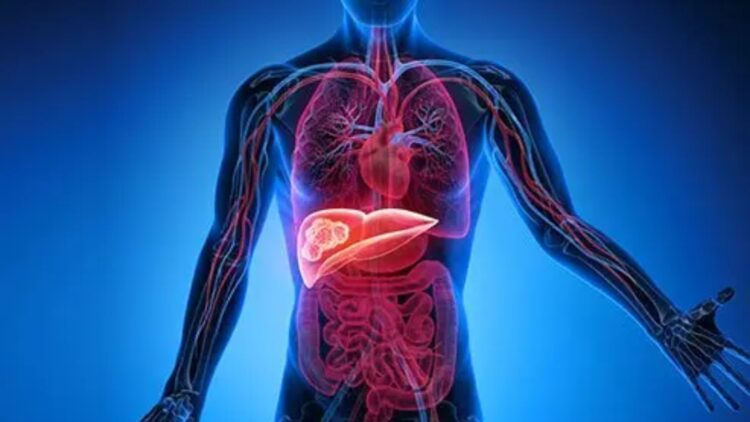 BeFunky collage 2026 02 13T154527.333