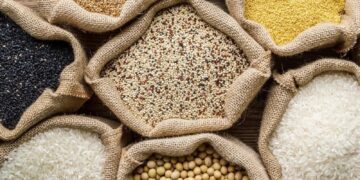 BeFunky collage 2026 02 13T173226.951