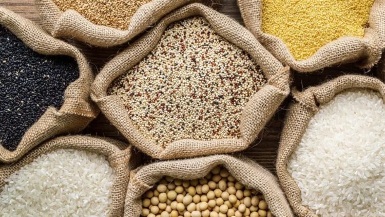 BeFunky collage 2026 02 13T173226.951