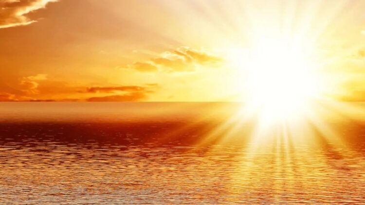 BeFunky collage 2026 02 15T095600.029