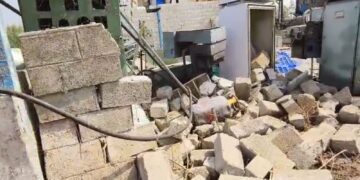 BeFunky collage 2026 02 15T122502.078